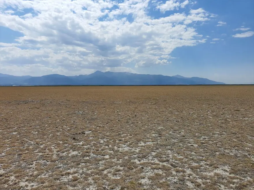 Konya'daki araştırmaya göre, vahşi sulama Akşehir ve Eber göllerini yok edebilir 6