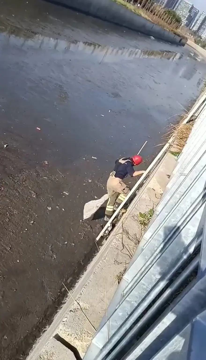 Dereye düşerek çamura saplanan kediyi itfaiye kurtardı 2