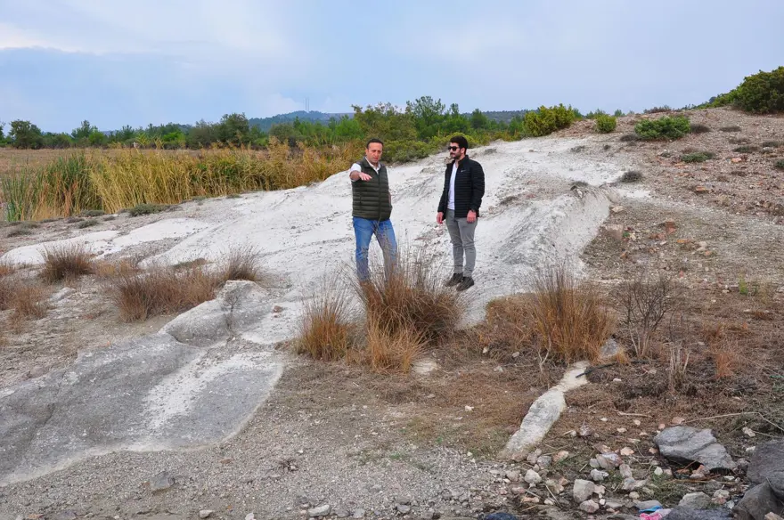 21 milyon yıllık fosil ağaç ormanı tehlikede 10