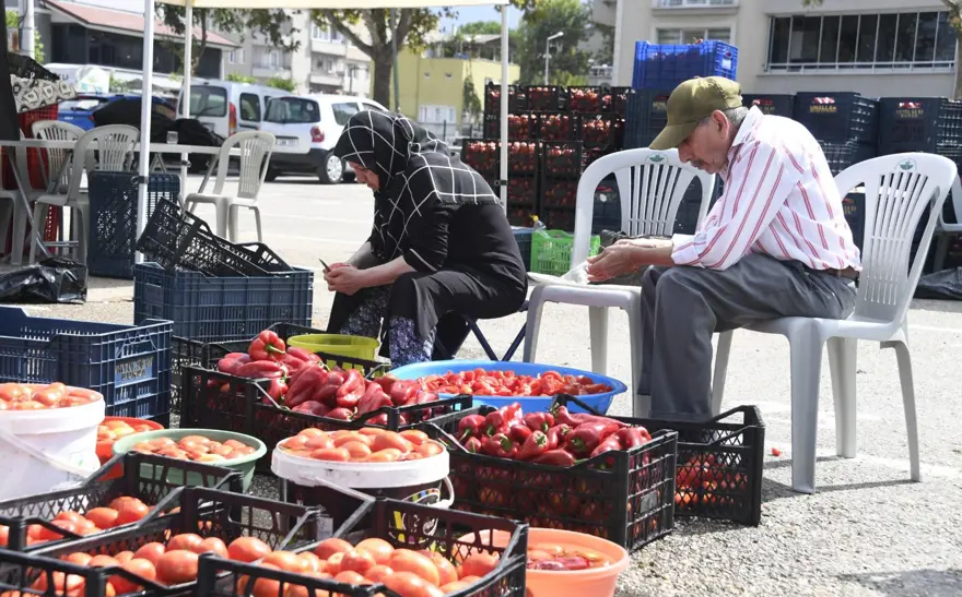 Ev yapımı salça seferberliği: İmece usulü hazırlandı 1