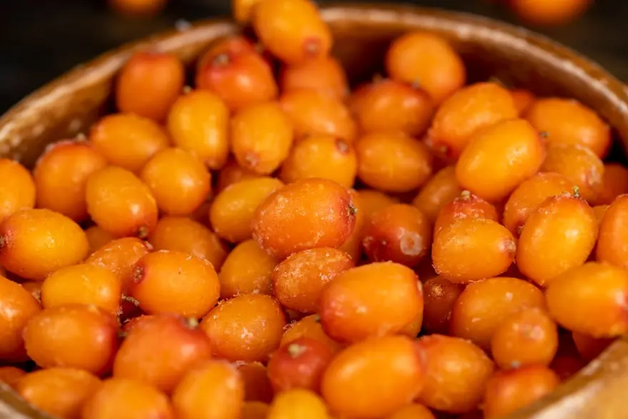 Dağlarda yetişiyor, tezgahta yerini aldı: Toplaması çok zahmetli 4 Dağlarda yetişiyor, tezgahta yerini aldı: Toplaması çok zahmetli 4