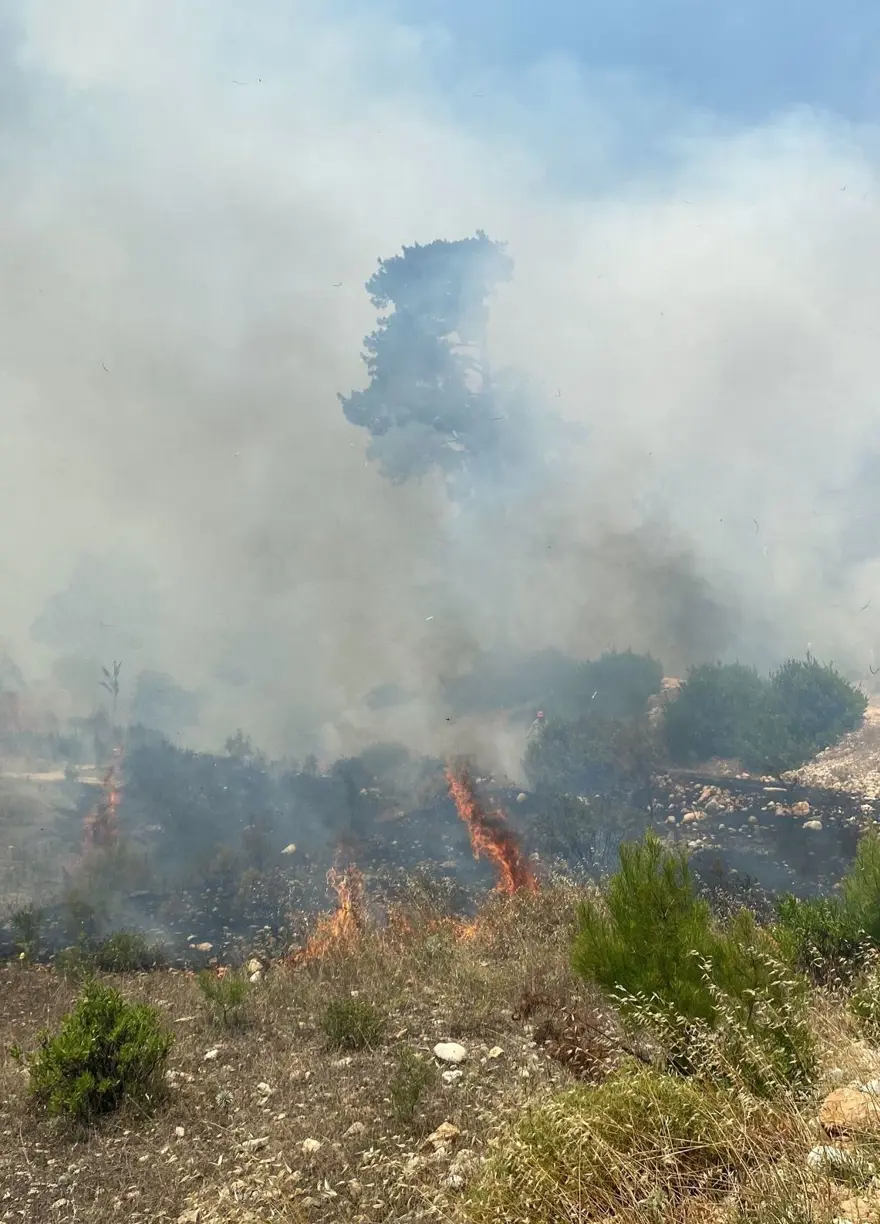 Antalya Kaş'ta orman yangını 1