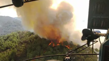 Marmaris'te orman yangını