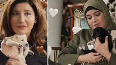 Bakanlıktan Kızılcık Şerbeti'nin köpek sahnesine düzeltme