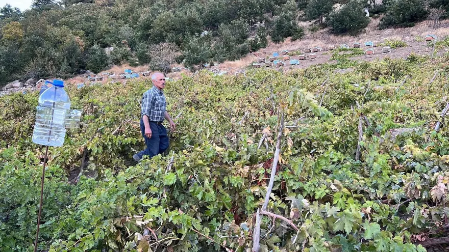 Doğal şifa kaynağı: Büyük kazanlarda odun ateşinde kaynatılıyor 4 Doğal şifa kaynağı: Büyük kazanlarda odun ateşinde kaynatılıyor 4