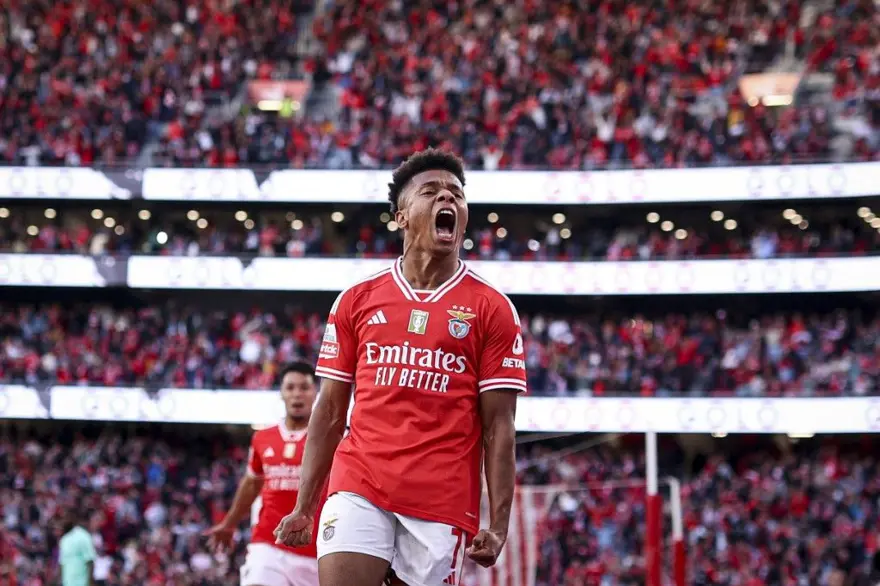 Fenerbahçe'de Mourinho Victor Lindelöf'ü istiyor (18 Temmuz 2024 transfer haberleri) 1 Fenerbahçe'de Mourinho Victor Lindelöf'ü istiyor (18 Temmuz 2024 transfer haberleri) 1