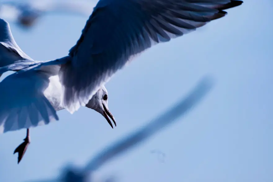 “Haydi! Yeşil Gelecekler” fotoğraf yarışmasının ödülleri açıklandı 33 “Haydi! Yeşil Gelecekler” fotoğraf yarışmasının ödülleri açıklandı 33