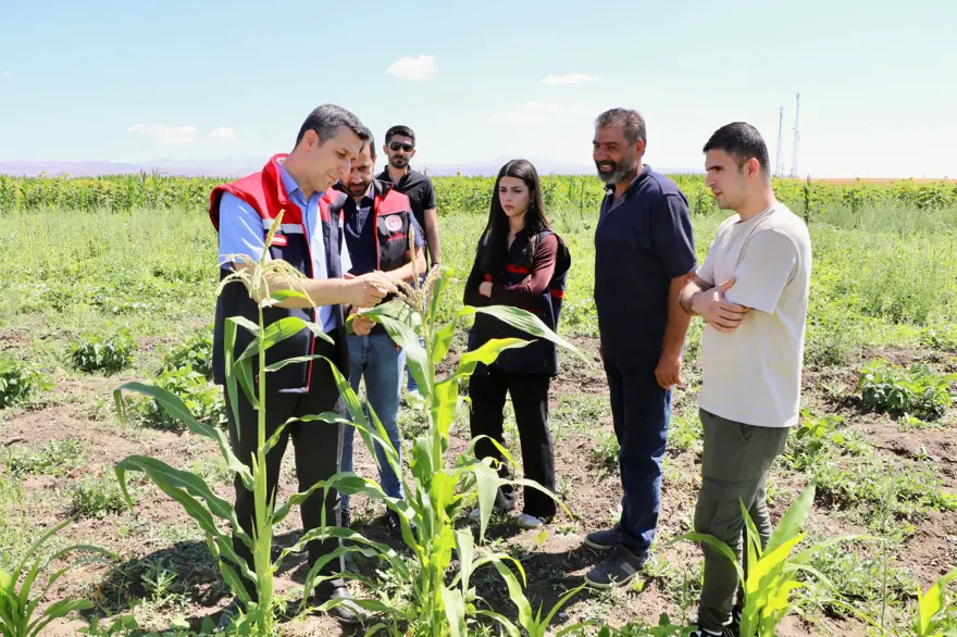 Fide desteğiyle kurdu şimdi göz dolduruyor: Sebze, meyve ve tahıl bir arada 5 Fide desteğiyle kurdu şimdi göz dolduruyor: Sebze, meyve ve tahıl bir arada 5