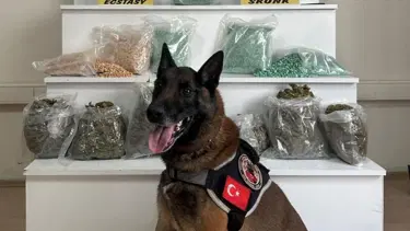 Yolcu otobüsündeki 20 kilo uyuşturucuyu "Yaşa" buldu