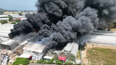 Antalya'da fide üretim tesisinde yangın