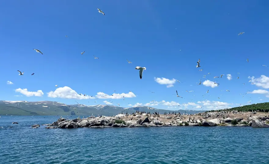 "HİÇBİRİ DİĞERİNİN BÖLGESİNE GİRMİYOR" 2