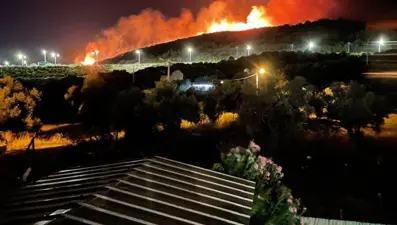 İzmir'in Urla ilçesinde orman yangını