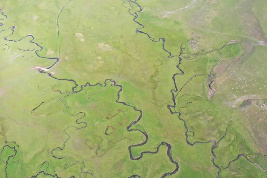 Ağrı'da mendereslerin bulunduğu ovalar yeşile büründü 3