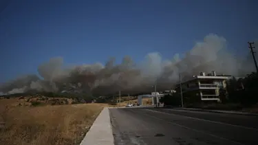 Çanakkale orman yangını: Gözaltına alınan şüpheliler serbest