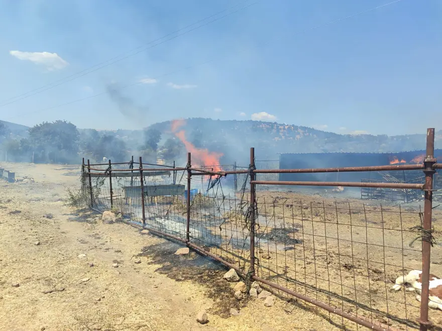 ÇANAKKALE AYVACIK 4 ÇANAKKALE AYVACIK 4