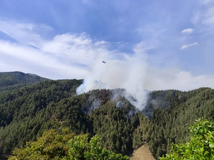 Kahramanmaraş'ta orman yangını 