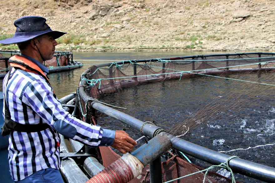 Elazığ'dan dünyaya Türk Somonu 24