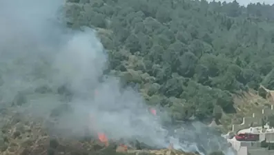 İzmir Narlıdere'de orman yangını