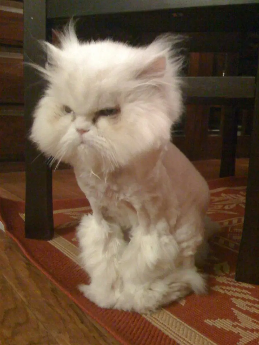 İnternetin yeni fenomenleri 42