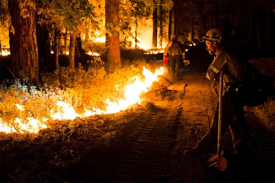 ABD'nin batısında ormanlar yanıyor 6
