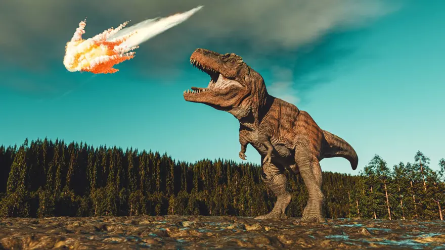 Dinozorların şaşırtıcı evrimi ortaya çıktı: Büyüdükçe küçülmüş 1 Dinozorların şaşırtıcı evrimi ortaya çıktı: Büyüdükçe küçülmüş 1