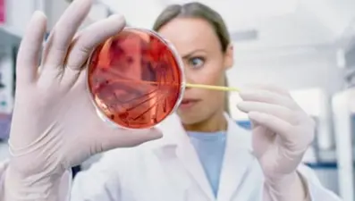 Hepatit C tedavisinde başarı oranı % 95’in üzerinde (Hepatitsiz dünya için farkındalık şart!)