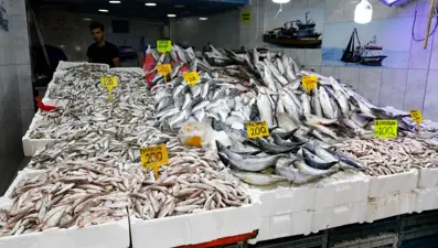 Hamsi tezgahta 200-300 liradan satılıyor