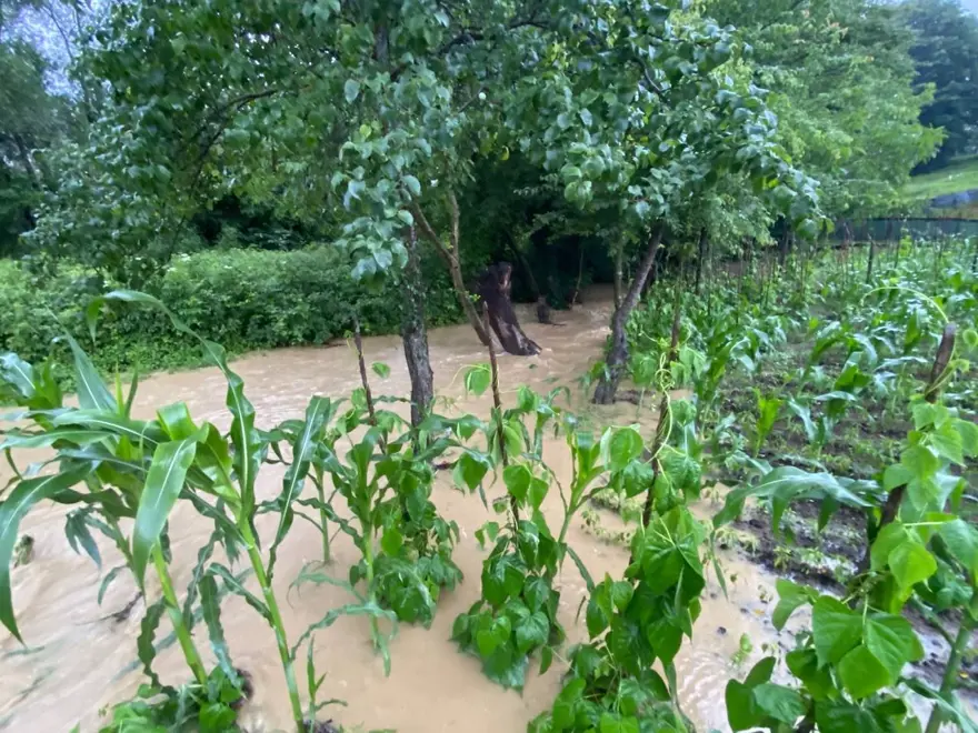 Batı Karadeniz'i yine sel vurdu 21