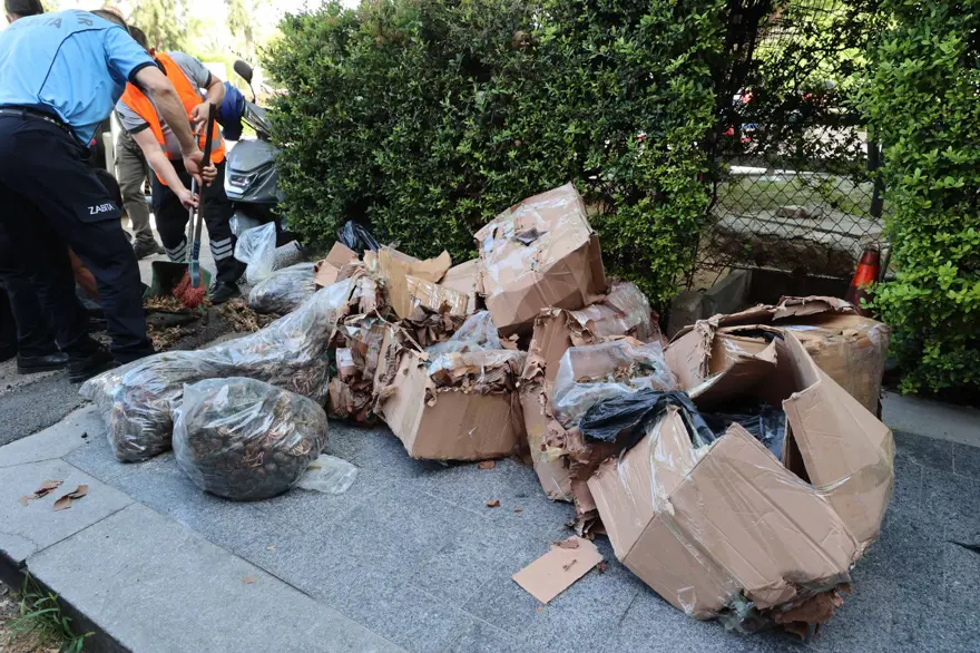 MAVİ YENGEÇLERİN BİR KISMI ÖLÜ 3