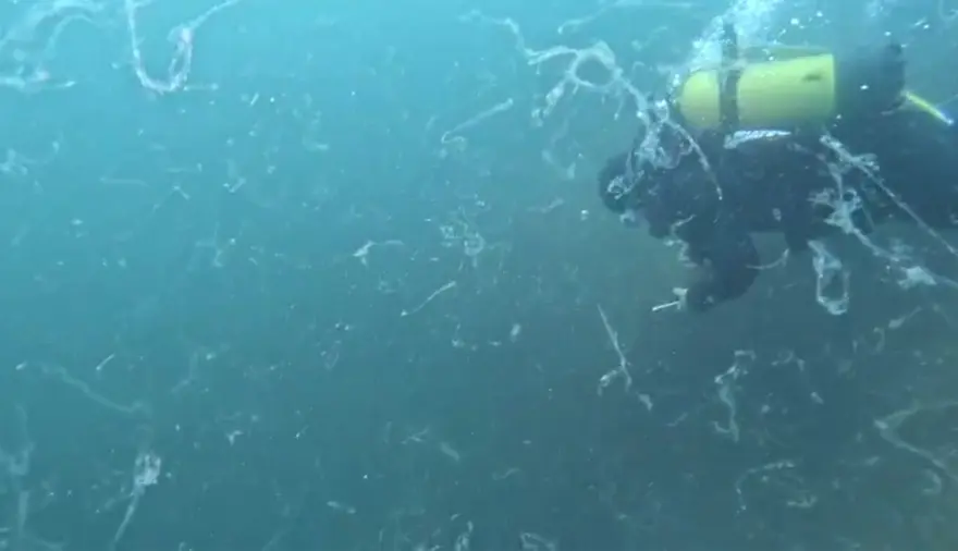 Marmara'da yine ortaya çıktı: 10 metre derinlikte oluştu 3