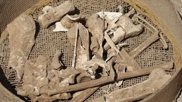 Konya'da yıkım çalışması yapılan alanda insan kemikleri bulundu