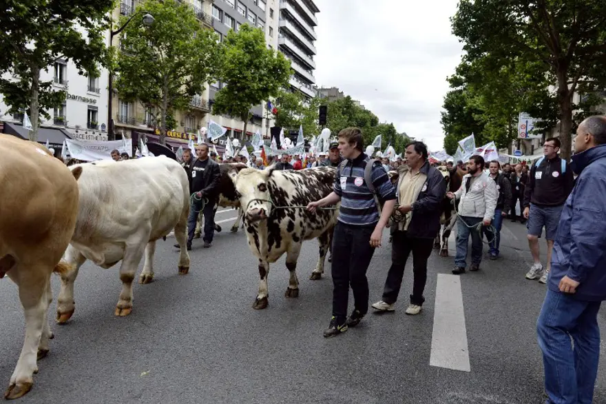 Hayvan yetiştiricileri Paris'te 1