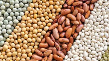 "Ramazanda bakliyata zam yok"