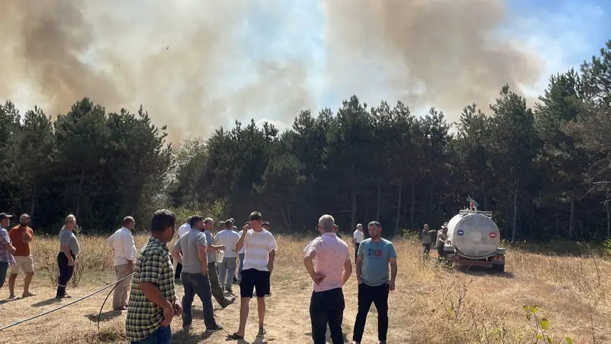 Sakarya'da orman yangını: Ekipler olay terinde 