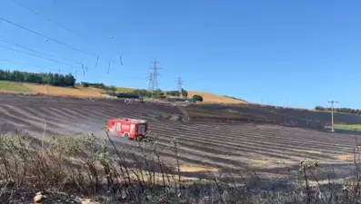 Büyükçekmece'de tarlada yangın