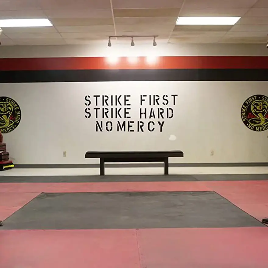 Cobra Kai | 28 Ağustos Cuma 15