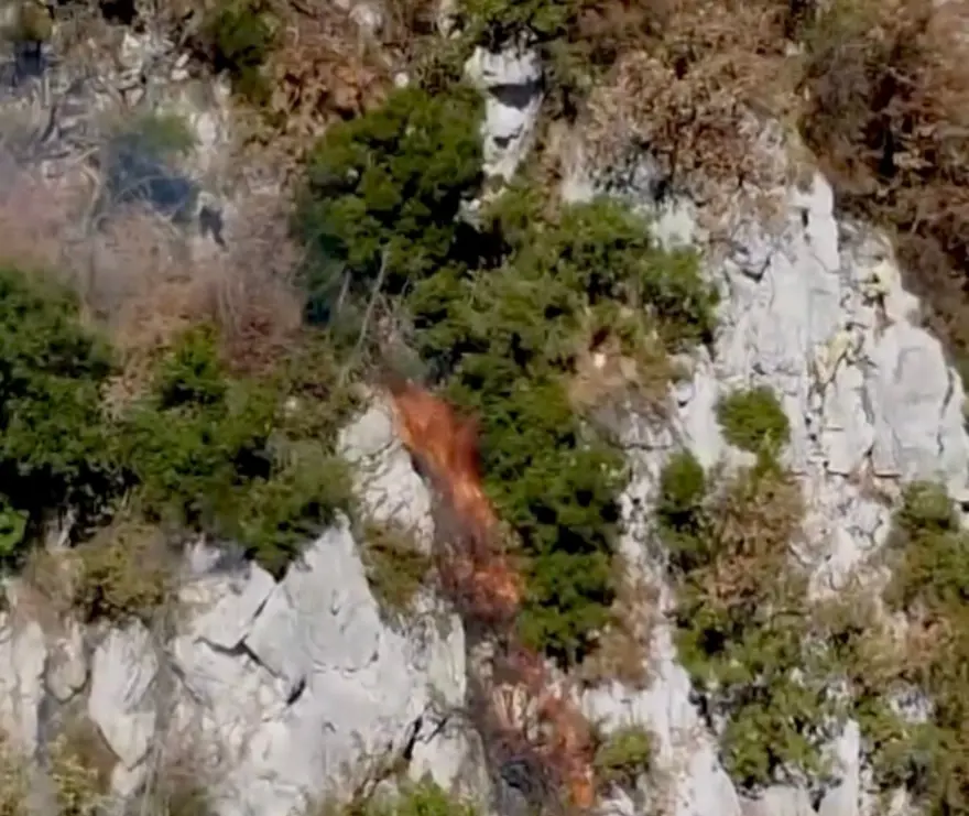 Küre Dağları Milli Parkı'ndaki yangın | Orman işçileri, alevlerden son anda kurtuldu 6
