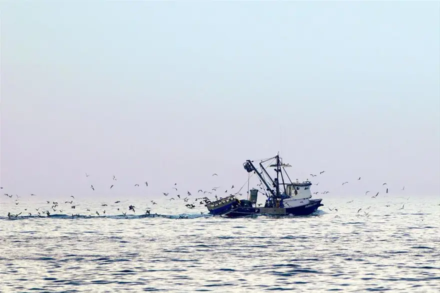 Benjamin Ginsberg 30