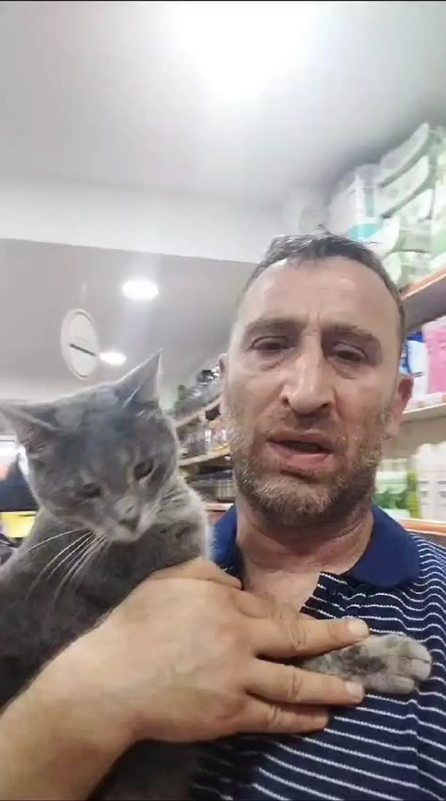 Balı fazla kaçıran kedi kendinden geçti 1