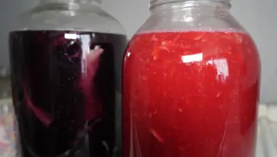 30 farklı çeşit, her biri şifa kaynağı: Doğal yöntemlerle üretiliyor