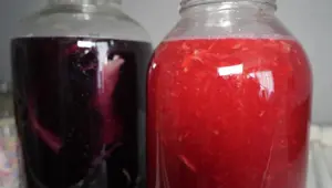 30 farklı çeşit, her biri şifa kaynağı: Doğal yöntemlerle üretiliyor