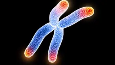 Maksat telomeri uzatmaksa…