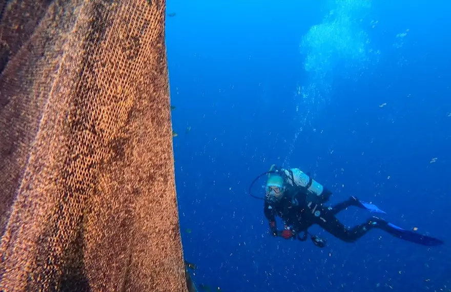 'Hayalet ağ' dalış turizmi için batırılan vapuru kapladı 5