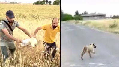 Kafası bidona sıkışmış halde bulundu: Bunu yapan bir insansa....