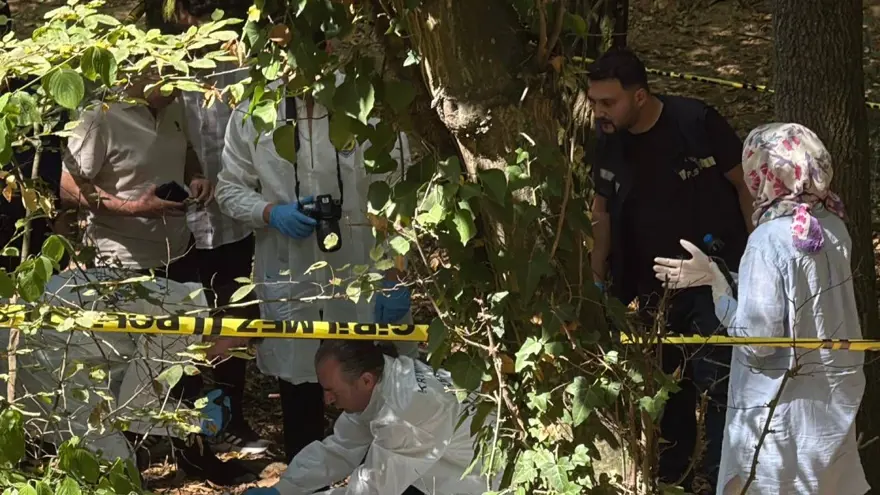 HAYATINA SON VERMİŞ 3 HAYATINA SON VERMİŞ 3