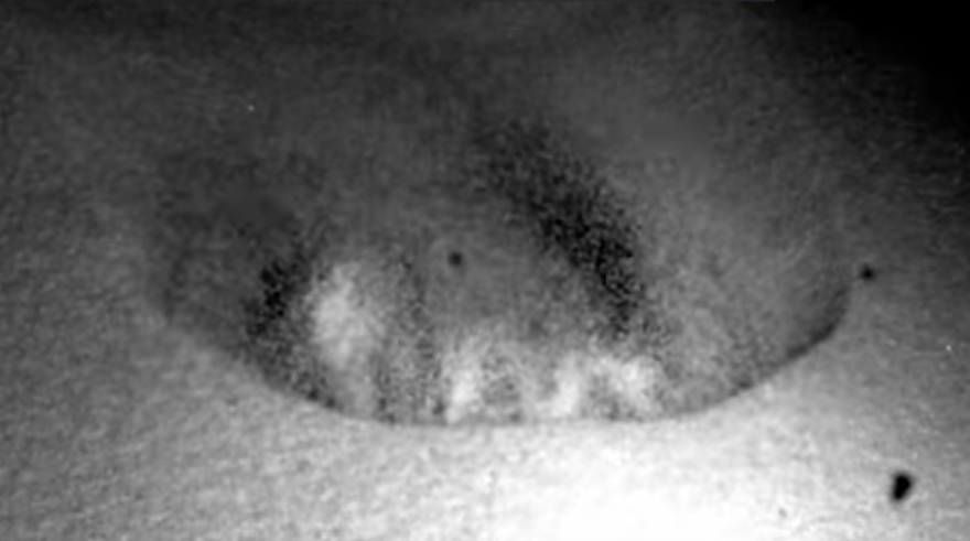 "DUNE FİLMİNDEKİ SOLUCANLARI GÖRÜR GİBİ OLDUM" 3