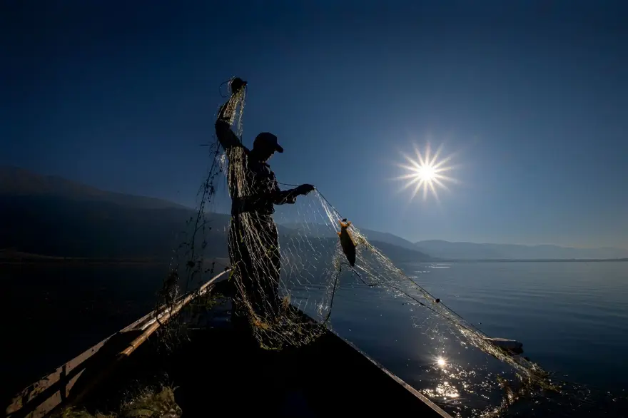 Balık fotoğrafı yarışmasında kazananlar belli oldu 