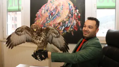 Yaralı bulduğu şahine 'Tofaş' adını verdi