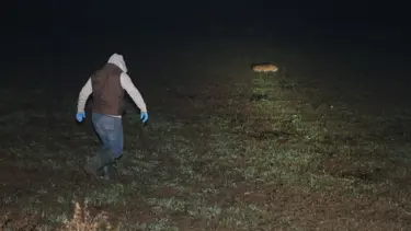 Edirne'de zehirlenen 8 köpek ve 1 kedi öldü
