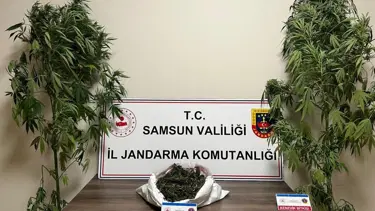 Jandarma 3 kilo 237 gram esrar ele geçirdi